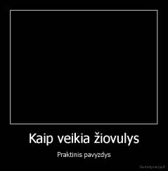 Kaip veikia žiovulys - Praktinis pavyzdys