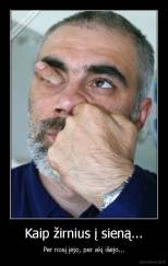 Kaip žirnius į sieną... - Per nosį įėjo, per akį išėjo...