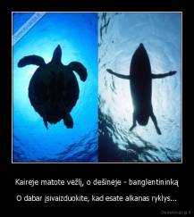 Kairėje matote vėžlį, o dešinėje - banglentininką - O dabar įsivaizduokite, kad esate alkanas ryklys...