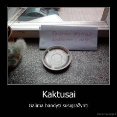 Kaktusai - Galima bandyti susigražynti