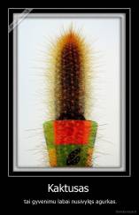Kaktusas  -  tai gyvenimu labai nusivylęs agurkas.