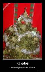 Kalėdos - Kiekvienas jas supranta kaip nori