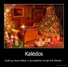 Kalėdos - Lauki jų visus metus, o jos praeina vis per tris dienas...