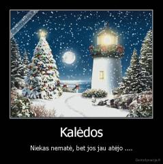 Kalėdos - Niekas nematė, bet jos jau atėjo ....