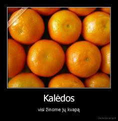 Kalėdos - visi žinome jų kvapą