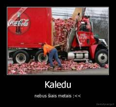 Kaledu - nebus šiais metais :