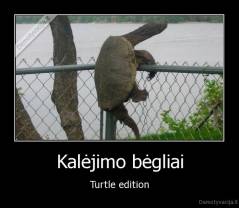Kalėjimo bėgliai - Turtle edition