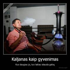 Kaljanas kaip gyvenimas - Kuo daugiau jo, tuo labiau skauda galvą