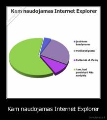 Kam naudojamas Internet Explorer - 