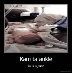 Kam ta auklė - kai šunį turi?