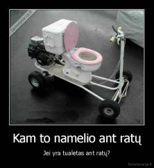 Kam to namelio ant ratų - Jei yra tualetas ant ratų?