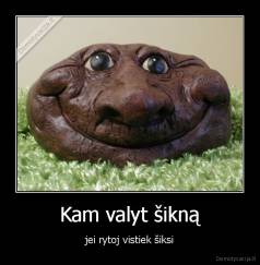 Kam valyt šikną - jei rytoj vistiek šiksi