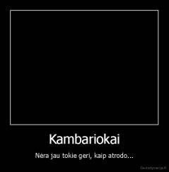 Kambariokai - Nėra jau tokie geri, kaip atrodo...