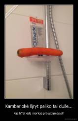 Kambariokė šįryt paliko tai duše... - Kas b*et ėda morkas prausdamasis?!