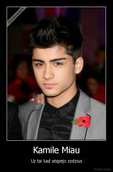 Kamile Miau - Uz tai kad atspejo zodzius