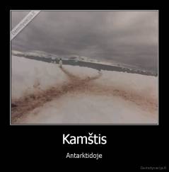 Kamštis - Antarktidoje