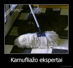 Kamufliažo ekspertai - 