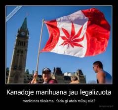 Kanadoje marihuana jau legalizuota - medicinos tikslams. Kada gi ateis mūsų eilė?