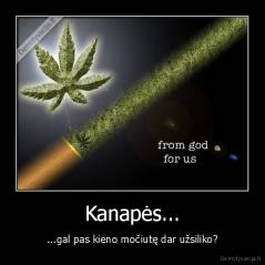 Kanapės... - ...gal pas kieno močiutę dar užsiliko?