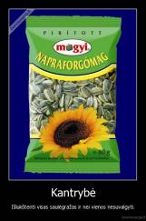 Kantrybė - Išlukštenti visas saulėgražas ir nei vienos nesuvalgyti.