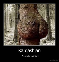 Kardashian - Giminės medis