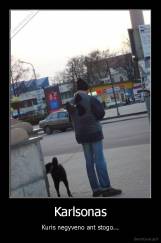 Karlsonas - Kuris negyveno ant stogo...