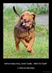Karta turėjau šunį, vardu Tupėk, "ateik čia Tupek" - ir tada jis išprotėjo