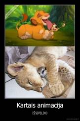 Kartais animacija - IŠSIPILDO