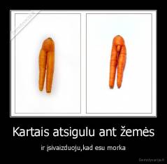 Kartais atsigulu ant žemės - ir įsivaizduoju,kad esu morka