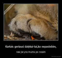 Kartais geriausi dalykai-tai,ko nepastebim, - nes jie yra mums po nosim