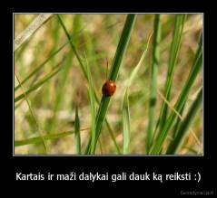 Kartais ir maži dalykai gali dauk ką reiksti :) - 