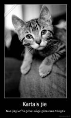 Kartais jie  - tave paguodžia geriau negu geriausias draugas