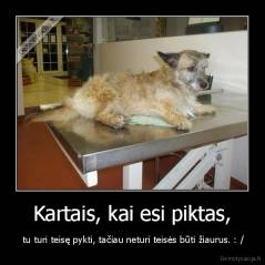 Kartais, kai esi piktas, -  tu turi teisę pykti, tačiau neturi teisės būti žiaurus. : /