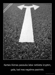 Kartais likimas pasisuka labai netikėta kryptim, - gaila, kad mes negalime pasirinkti.