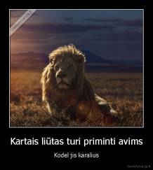 Kartais liūtas turi priminti avims - Kodel jis karalius