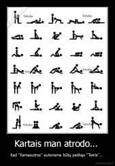 Kartais man atrodo...  - Kad "Kamasutros" autoriams būtų patikęs "Tetris"... 