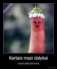 Kartais mazi dalykai - mums kelia idomuma