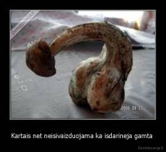 Kartais net neisivaizduojama ka isdarineja gamta  - 