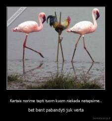 Kartais norime tapti tuom kuom niekada netapsime.. - bet bent pabandyti juk verta
