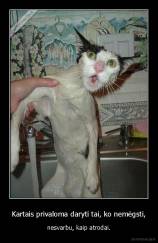 Kartais privaloma daryti tai, ko nemėgsti, - nesvarbu, kaip atrodai.