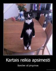 Kartais reikia apsimesti - šiandien aš pingvinas