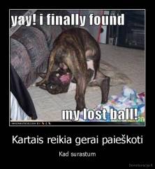 Kartais reikia gerai paieškoti - Kad surastum