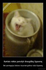 Kartais reikia parodyt draugišką šypseną - Bet pamiegojus bidone visuomet galima rodyt šypseną