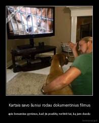 Kartais savo šuniui rodau dokumentinius filmus - apie benamius gyvūnus, kad jis pradėtų vertinti tai, ką jam duodu