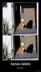 Kartais šešėlis - turi akis.