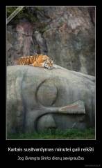 Kartais susitvardymas minutei gali reikšti - Jog išvengta šimto dienų savigraužos