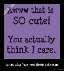 Kartais tokią frazę norisi išrėžti kiekvienam - 