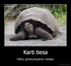 Karti tiesa - Vėžliu gimes,leopardu netapsi