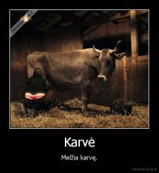 Karvė - Melžia karvę.