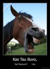 Kas Tau Buvo, - Kad Nesijuoki?       Like